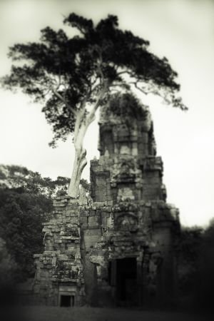 Cambodia-484-3.jpg